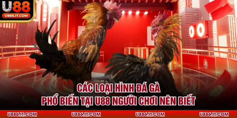 Các Loại Hình Đá Gà Phổ Biến Tại U88 Người Chơi Nên Biết