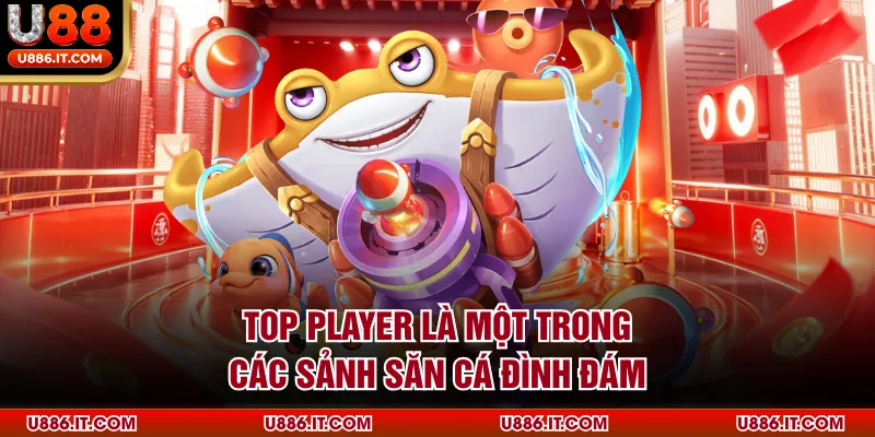 Top Player là một trong các sảnh săn cá đình đám
